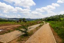 jalan setapak melalui lahan basah