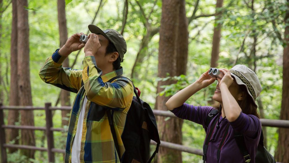 Pengamat burung di jalur hutan khusus di Tiongkok.