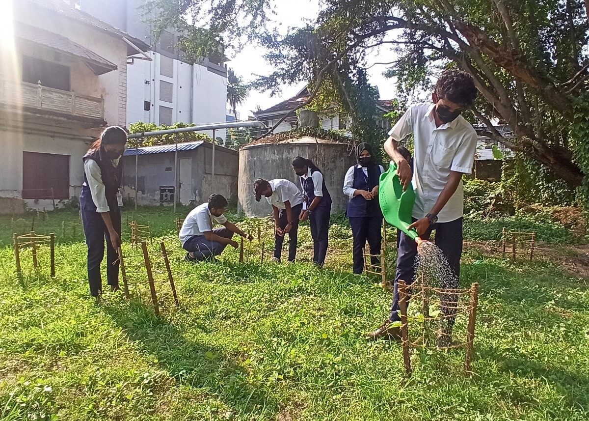 Para siswa merawat taman di Kochi.