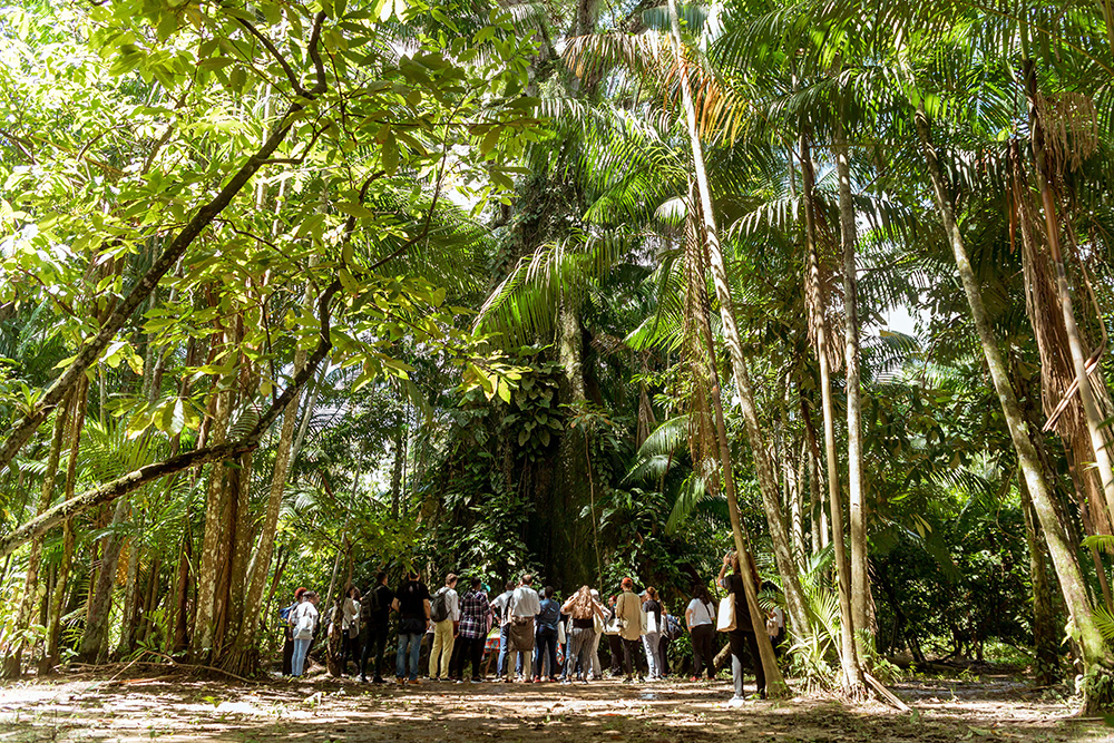 pulau kombi