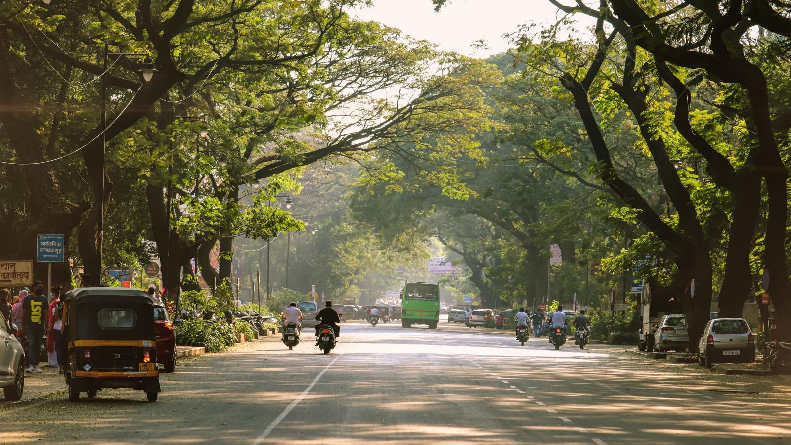 Jalan dengan pohon