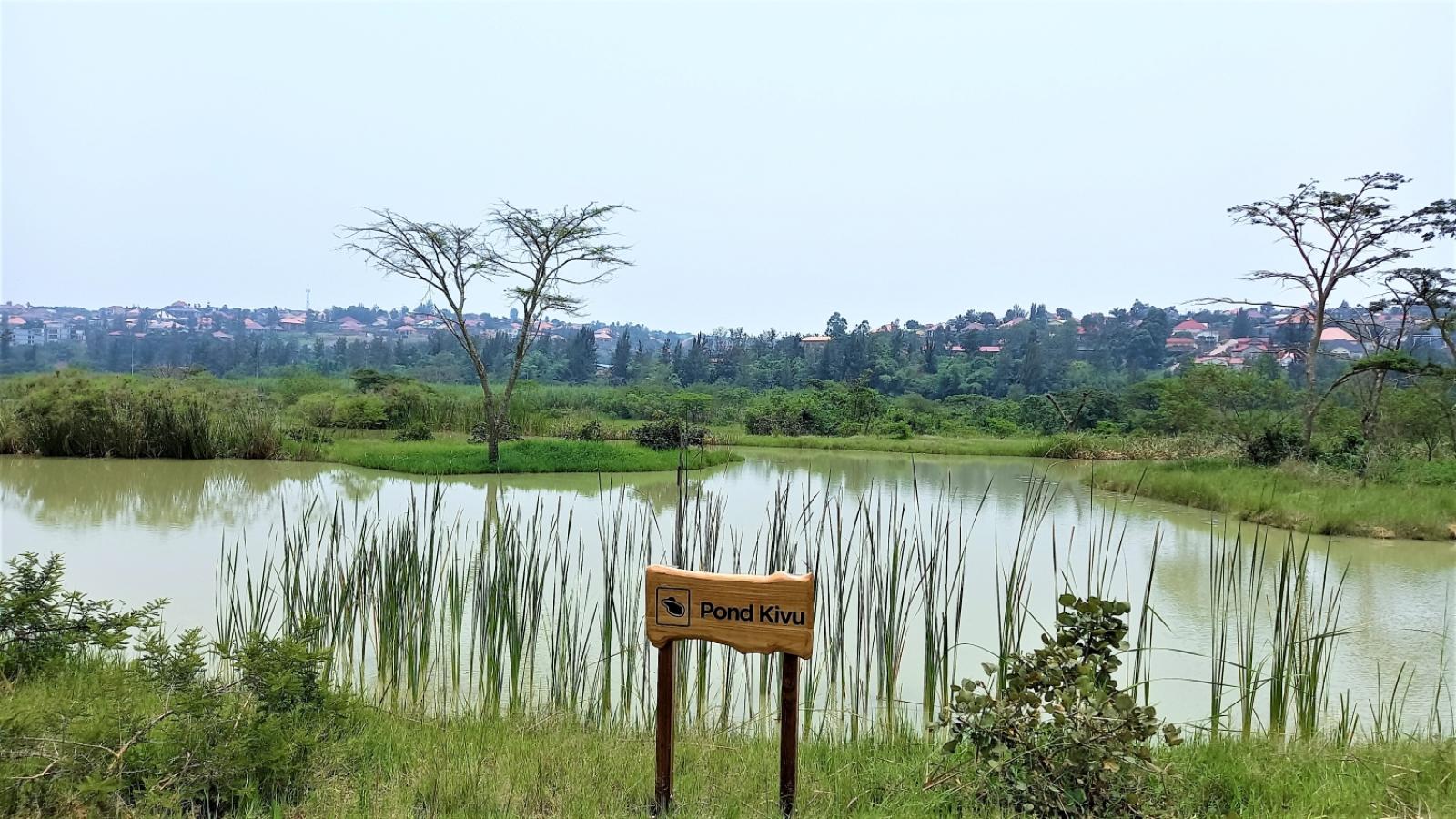 Kigali Nyandungu lahan basah rwanda