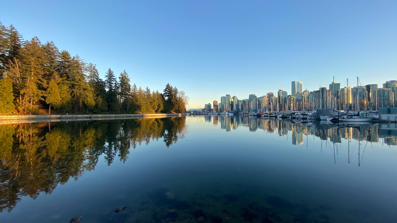 pemandangan cakrawala vancouver dan taman stanley