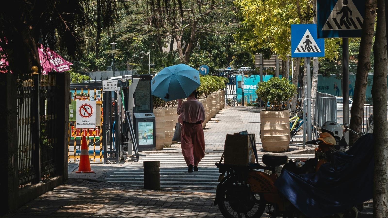 seorang wanita berjalan dengan payung matahari melalui area yang dipenuhi pepohonan