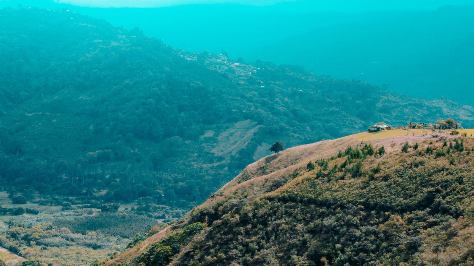 Bukit di atas lanskap yang rimbun