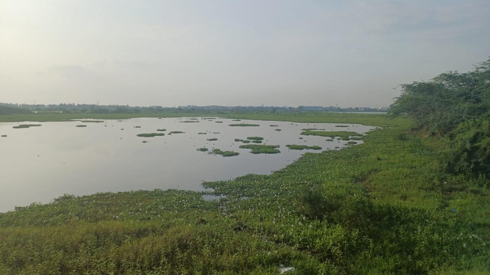Danau Chennai