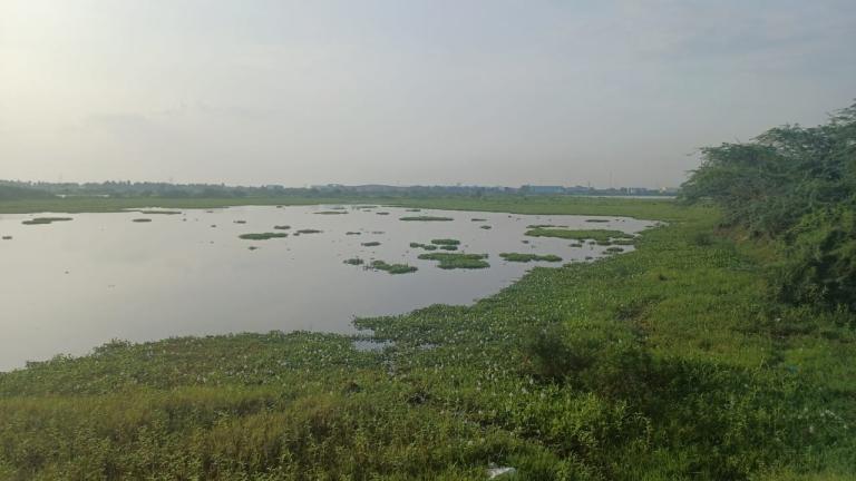 Danau Chennai