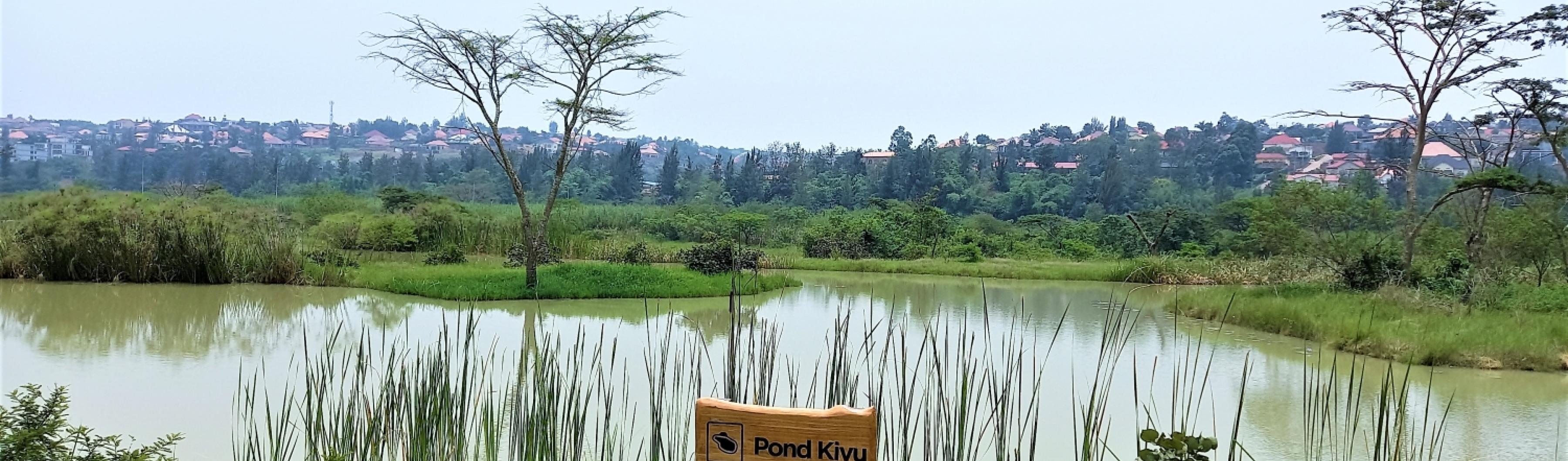 Kigali Nyandungu lahan basah rwanda