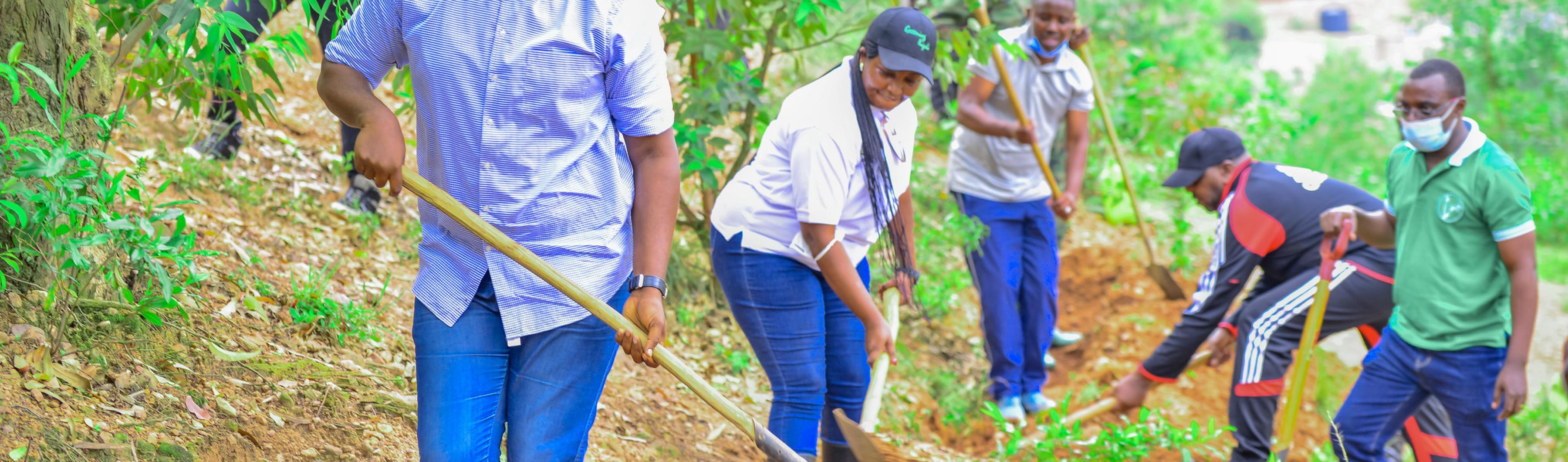 Wali Kota Kigali Pudence Rubingisa mengambil bagian dalam perkebunan pohon masyarakat. Kota Kigali / Flickr. 