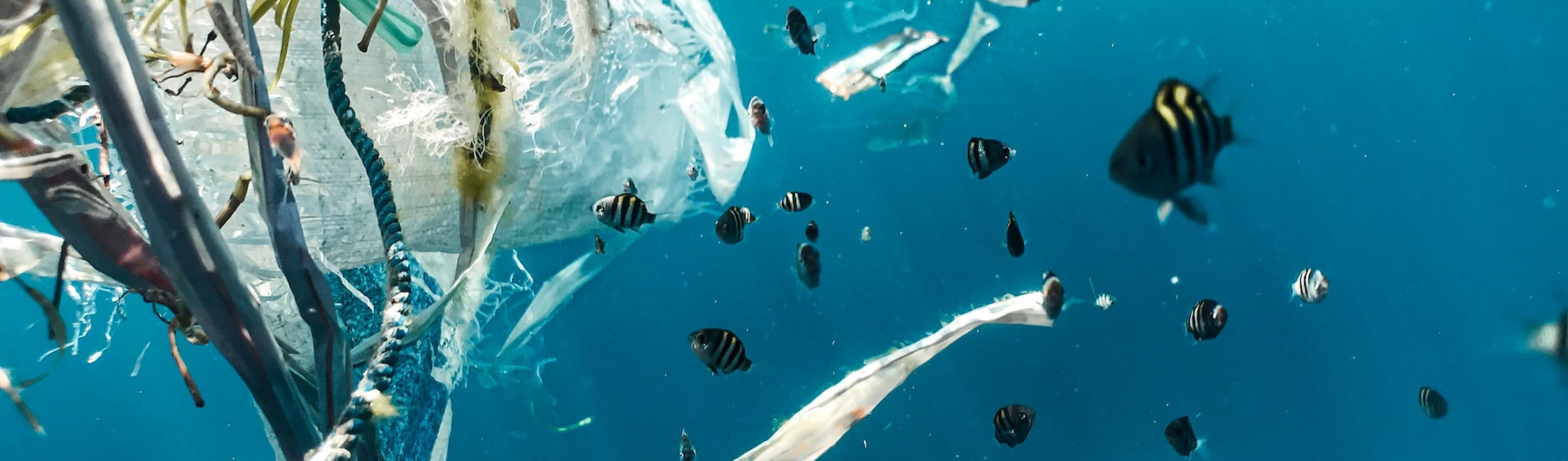 Ikan-ikan di lautan yang tercemar polusi plastik