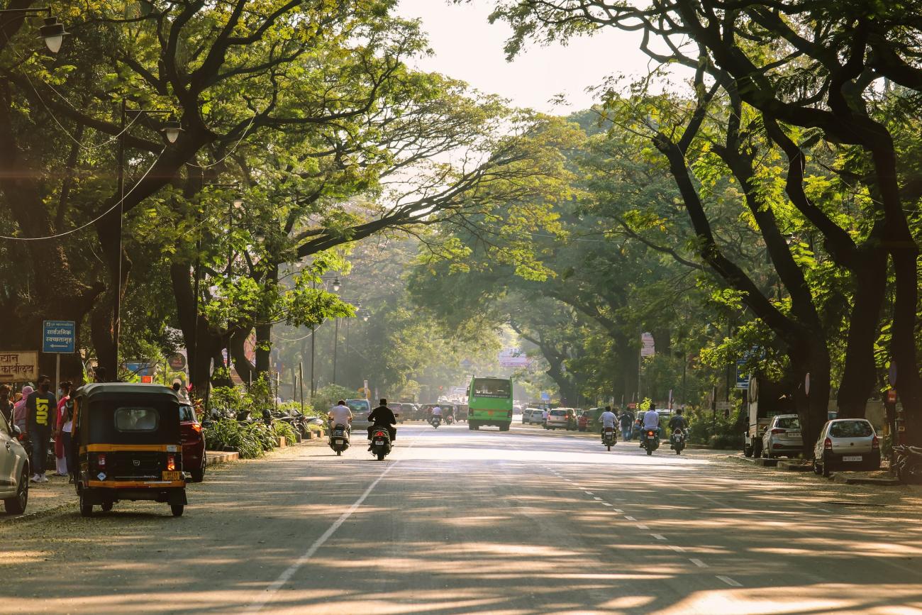 Jalan dengan pohon