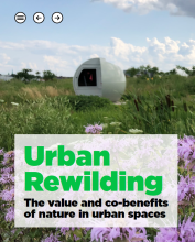 Sampul depan laporan berjudul Urban Rewilding: Nilai dan manfaat tambahan dari alam di ruang perkotaan. Latar belakangnya menunjukkan sebuah lapangan dengan rumput hijau dan bunga-bunga ungu, serta sebuah struktur berbentuk bola.