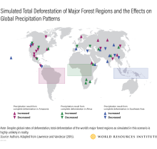 Infografis simulasi Deforestasi Total
