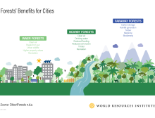 Infografis Manfaat Hutan untuk Kota