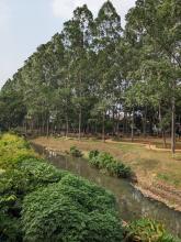 taman lingkungan tebet